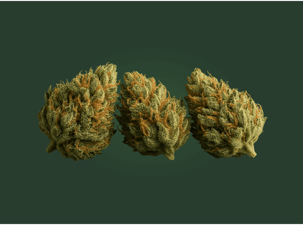 Cannabisblüten – geprüfte Qualität